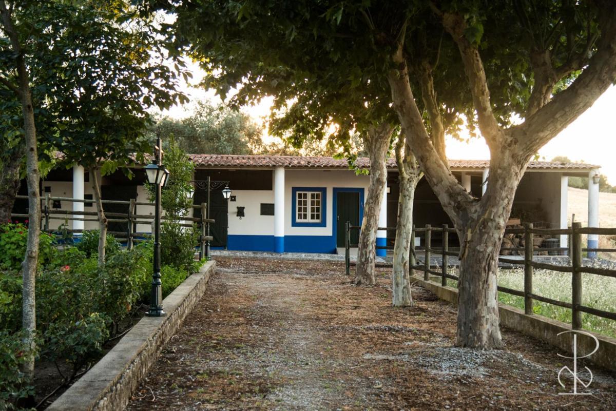 Willa Quinta Do Poco Novo Alcáçovas Zewnętrze zdjęcie